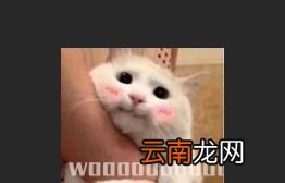 如何在图片上加水印