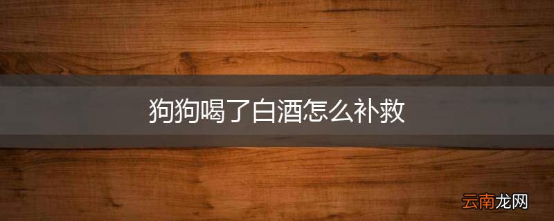 狗狗喝了白酒怎么补救