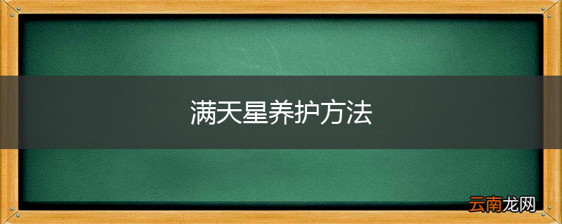 满天星养护方法