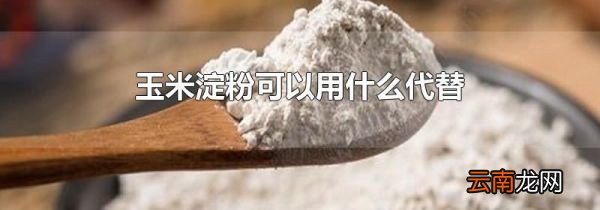 玉米淀粉可以用什么代替