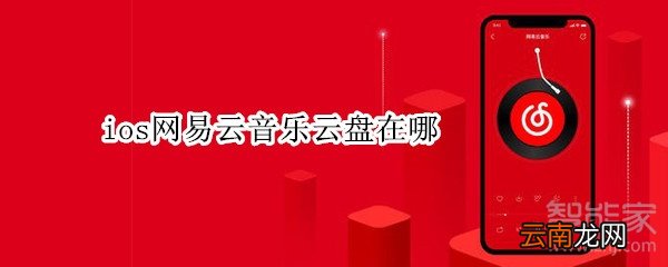ios网易云音乐云盘在哪