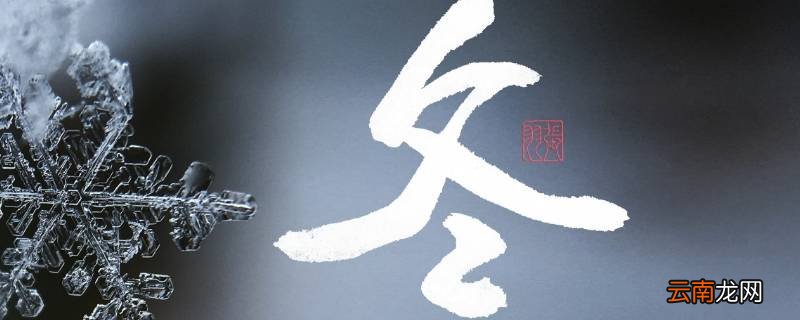 冬代表的寓意是什么