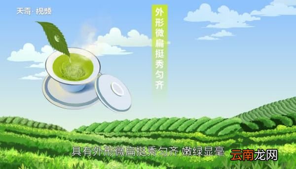 汉中仙毫特点汉中仙毫的品质特征