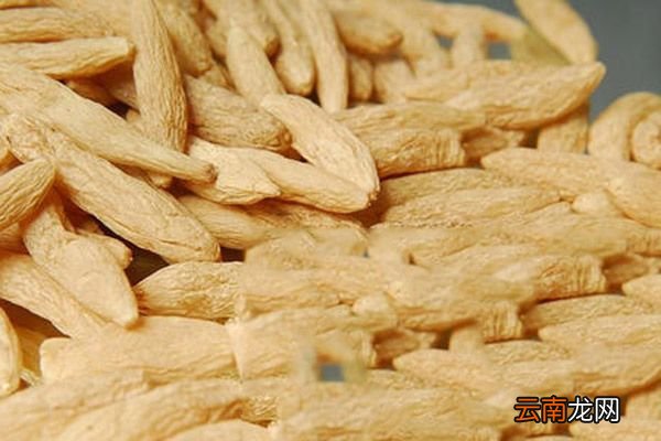 寸冬的功效与作用 寸冬的功效