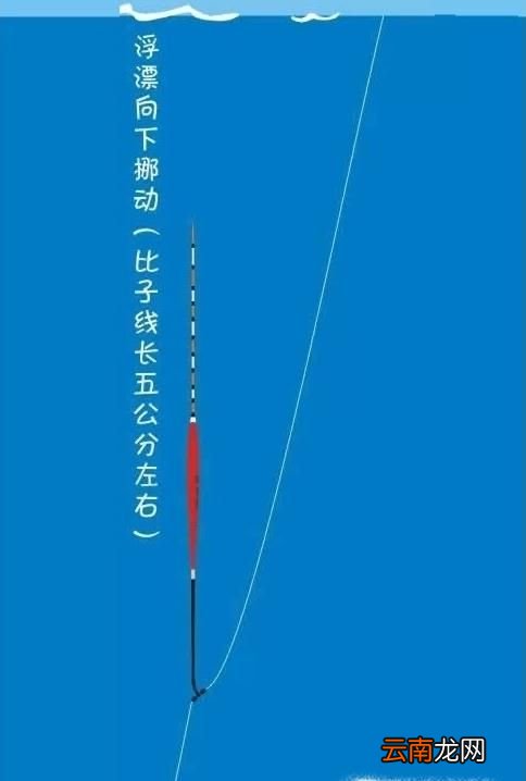 附图解 简单易学的调漂方法：五步调漂法