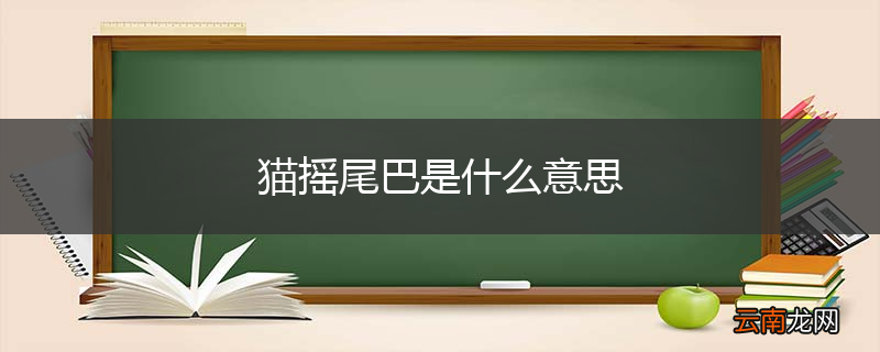 猫摇尾巴是什么意思