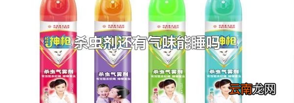 杀虫剂还有气味能睡吗