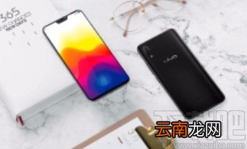 vivo手机设置默认浏览器的方法