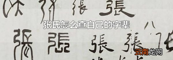 张氏怎么查自己的字辈