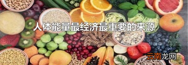 人体能量最经济最重要的来源