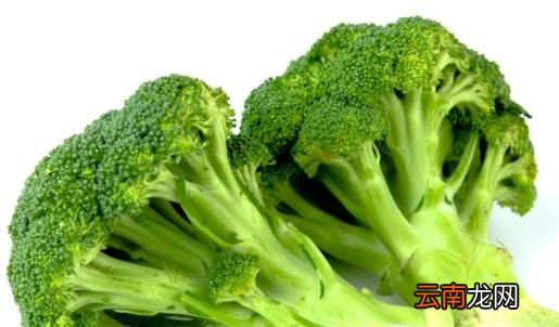 含铁高的食物有哪些？