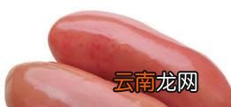 含铁高的食物有哪些？