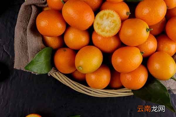 金桔干的功效与作用金桔干的禁忌人群