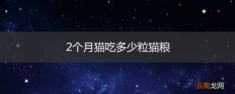 2个月猫吃多少粒猫粮