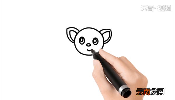 蝙蝠简笔画 蝙蝠儿童画