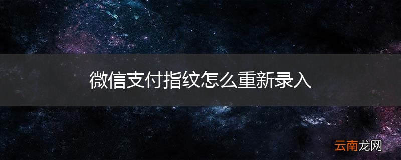微信支付指纹怎么重新录入