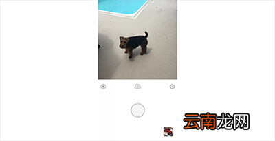 Prisma怎么保存图片？Prisma图片保存步骤介绍