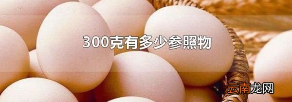 300克有多少参照物