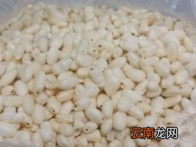 用大米怎样制作大米花