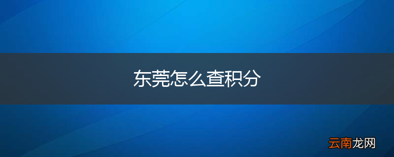 东莞怎么查积分