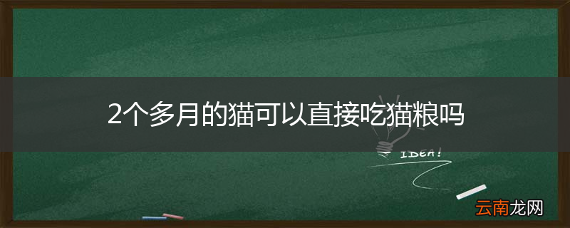2个多月的猫可以直接吃猫粮吗