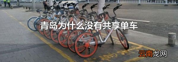 青岛为什么没有共享单车