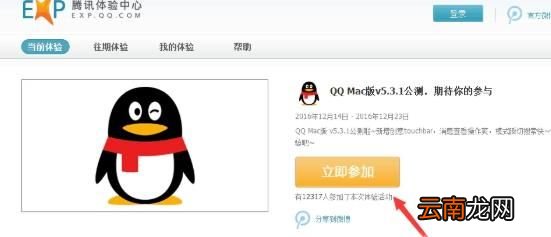 手机qq内测资格怎么申请