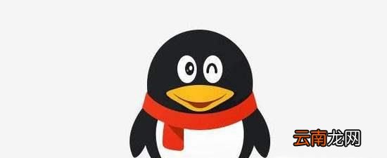 手机qq内测资格怎么申请