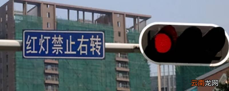 圆红灯能不能向右转