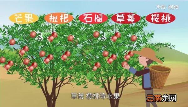 川d是哪里的车牌号码 川d是哪里的车牌