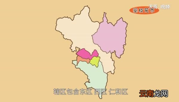 川d是哪里的车牌号码 川d是哪里的车牌