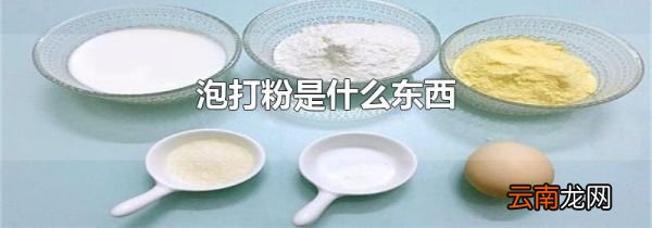 泡打粉是什么东西