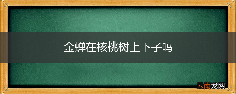 金蝉在核桃树上下子吗
