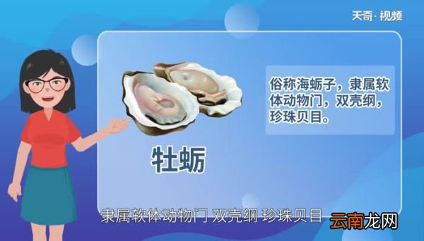 带壳生蚝蒸多久才熟 生蚝蒸多久能杀死寄生虫
