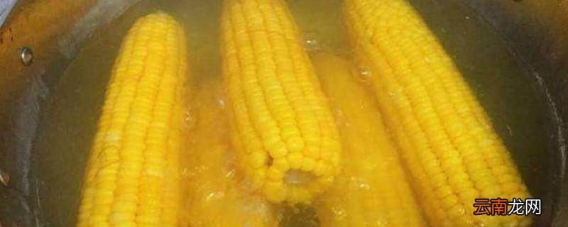 玉米煮几分钟