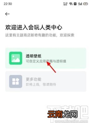 OPPO手机设置透明壁纸的方法