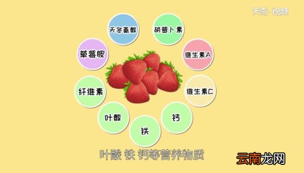 草莓是什么季节的水果 几月份可以摘草莓