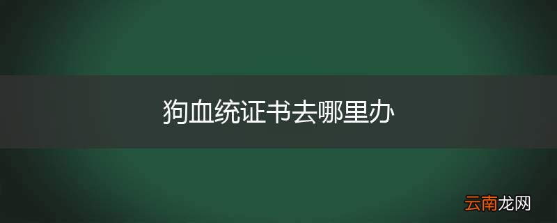 狗血统证书去哪里办