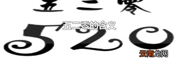 五二零的含义