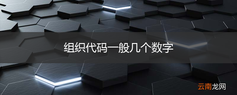 组织代码一般几个数字