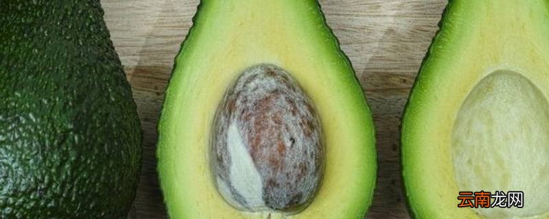 生牛油果怎么能让它快速催熟