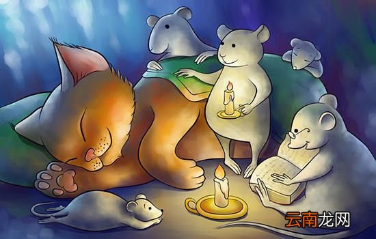 人类为何不把老鼠灭绝人类为什么不将老鼠消灭