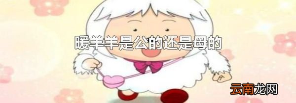 暖羊羊是公的还是母的