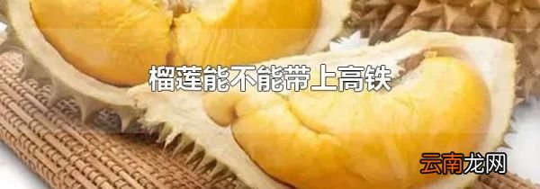 榴莲能不能带上高铁
