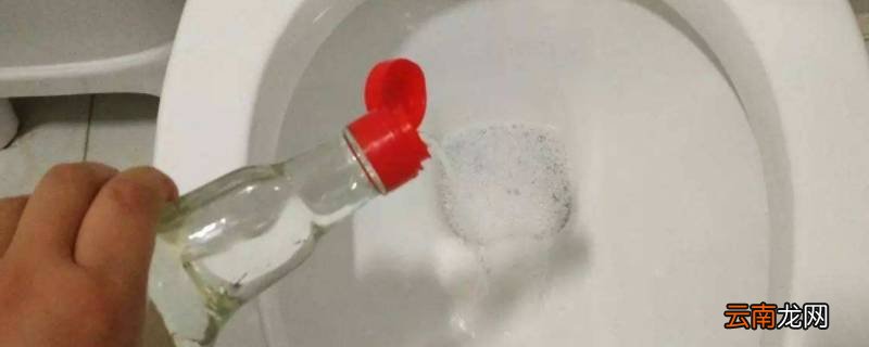 小苏打和白醋通厕所需要多久