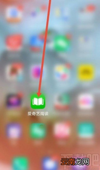 爱奇艺阅读app设置屏幕常亮的方法