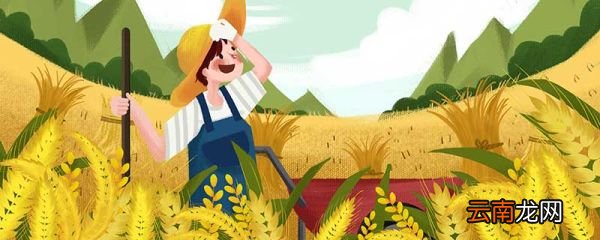 小满节气的特点 小满的寓意