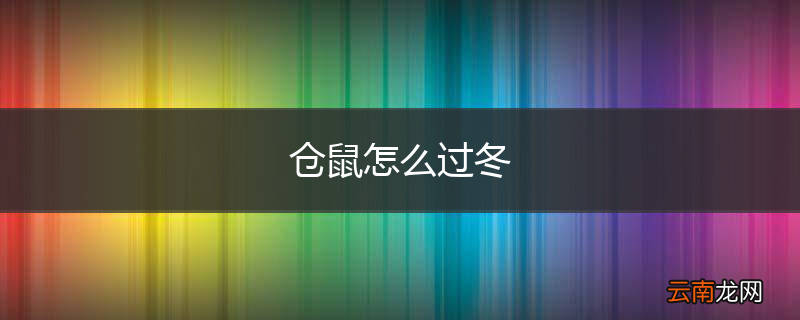 仓鼠怎么过冬