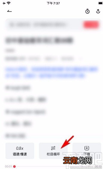 网易有道词典app开启听力栏目循环播放的方法