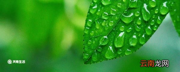 雨季安全生产注意事项 雨季安全生产注意事项有哪些